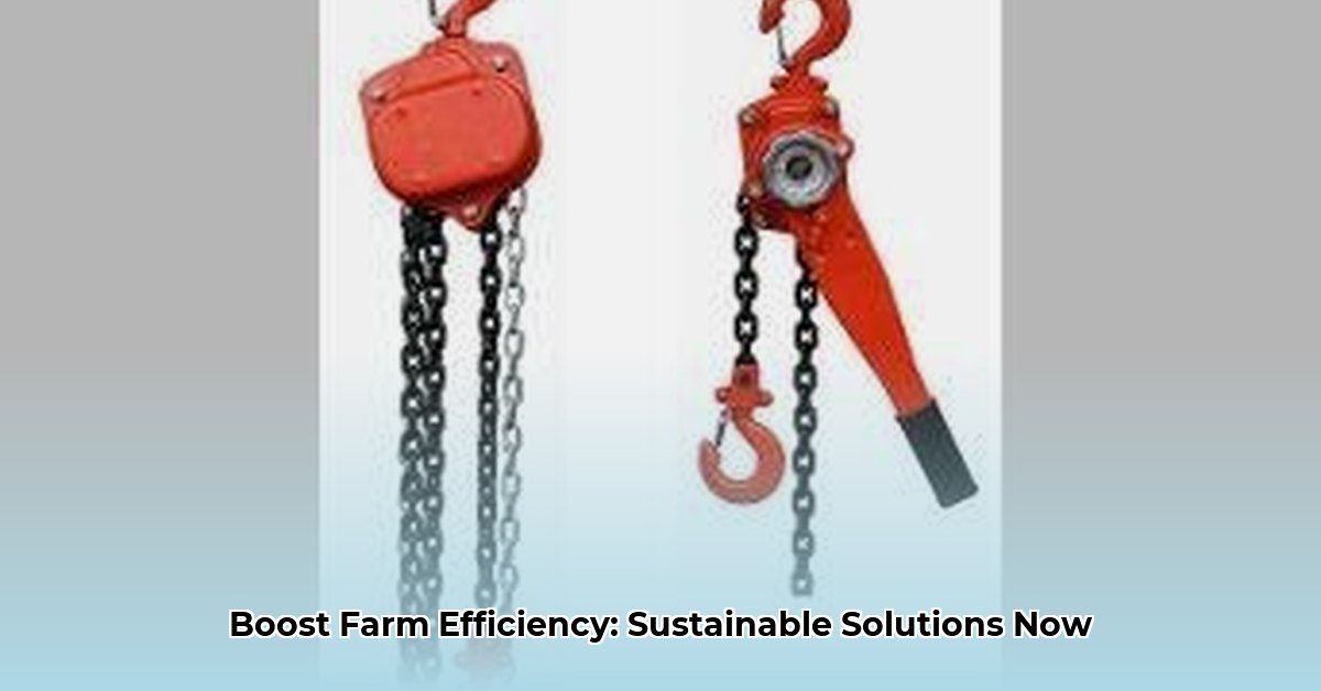 chain-hoist-tractor-supply